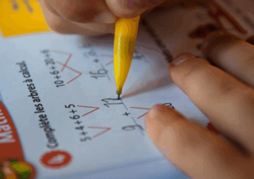 1-1-1024x724 🗞️ ENEM 2025: Alto Tietê Registra Quase 28 Mil Inscritos e Oferece Transporte Gratuito para o 2º Dia de Provas