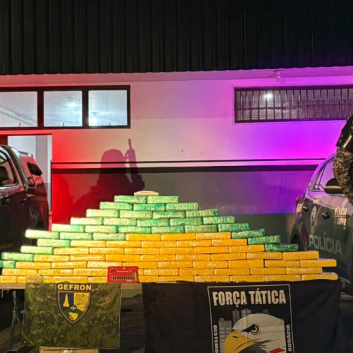 🚔 Gefron e Força Tática apreendem 80 tabletes de drogas avaliados em cerca de R$ 1,9 milhão em Várzea Grande