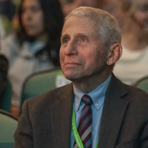 🌎 INTERNACIONAL: Senado dos EUA avalia recomendar acusação de desacato contra Anthony Fauci após depoimento sobre a Covid-19