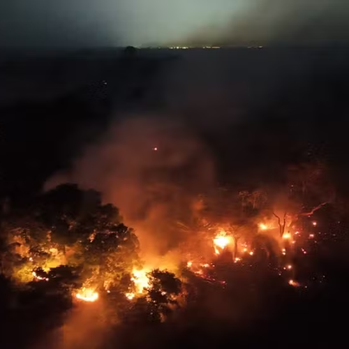 🚒 São Paulo envia força-tarefa com 30 profissionais para combater incêndios no Amazonas