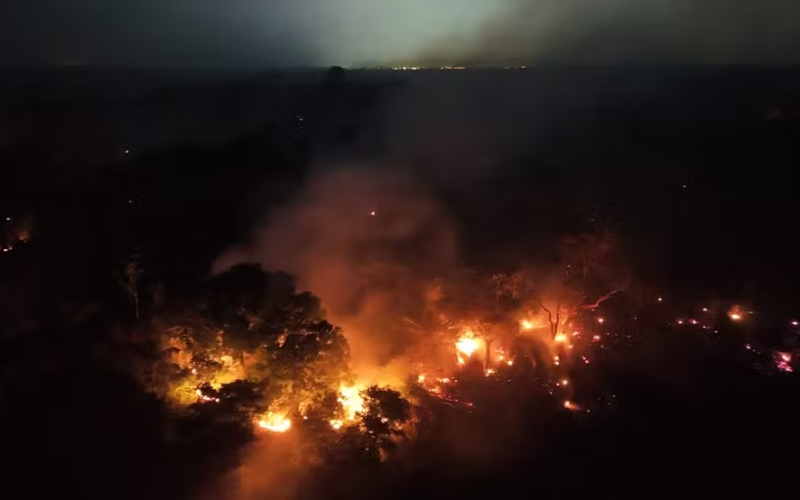 🚒 São Paulo envia força-tarefa com 30 profissionais para combater incêndios no Amazonas