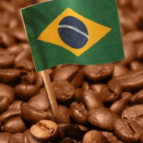Café que fica no Brasil é ruim? Entenda a origem da ideia e por que ela não vale mais hoje