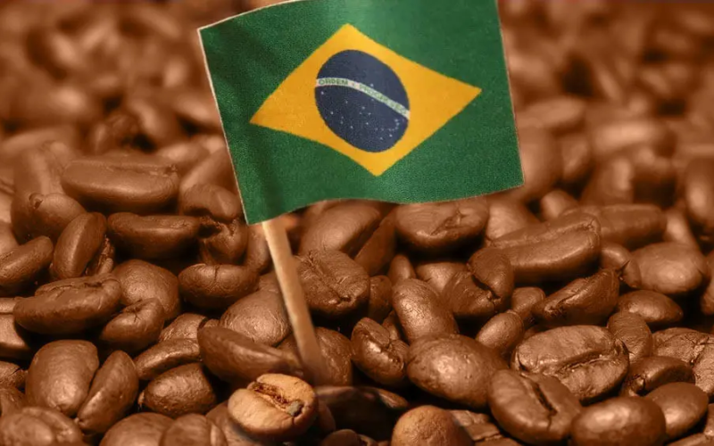 Café que fica no Brasil é ruim? Entenda a origem da ideia e por que ela não vale mais hoje