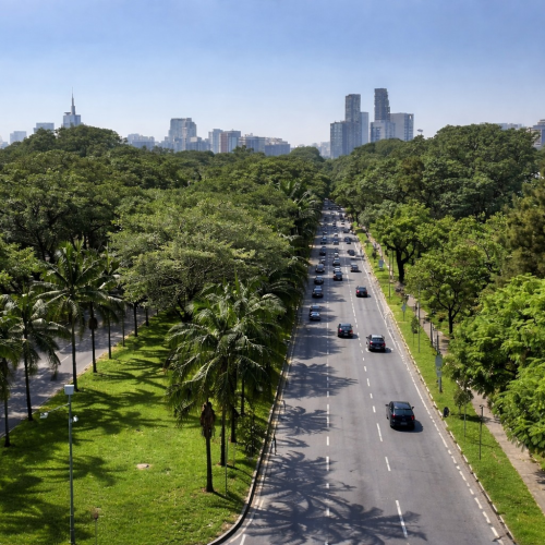 Corredor Verde do Butantã é reconhecido por programa da ONU como exemplo de sustentabilidade urbana