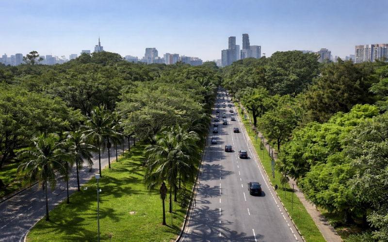 Corredor Verde do Butantã é reconhecido por programa da ONU como exemplo de sustentabilidade urbana