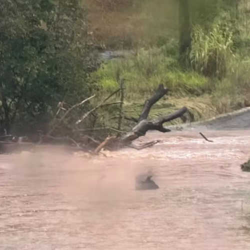 🌧️ SETE CIDADES DO RIO GRANDE DO SUL TÊM SITUAÇÃO DE EMERGÊNCIA RECONHECIDA APÓS CHUVAS INTENSAS