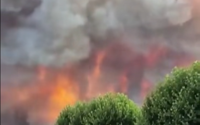 🔥 INCÊNDIO FLORESTAL DE GRANDES PROPORÇÕES DEVASTA MAIS DE 2.500 HECTARES E FORÇA EVACUAÇÕES NO SUL DA FRANÇA